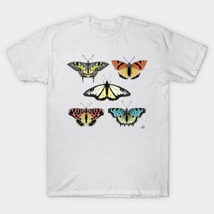 Not so real Butterflies colourful T-Shirt